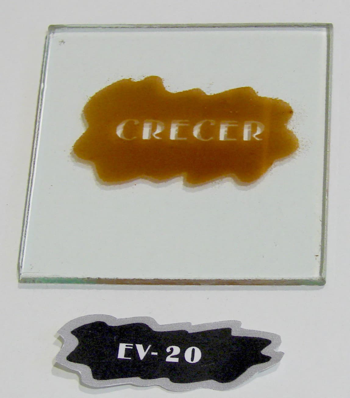 EV - 20 - Imagen 1