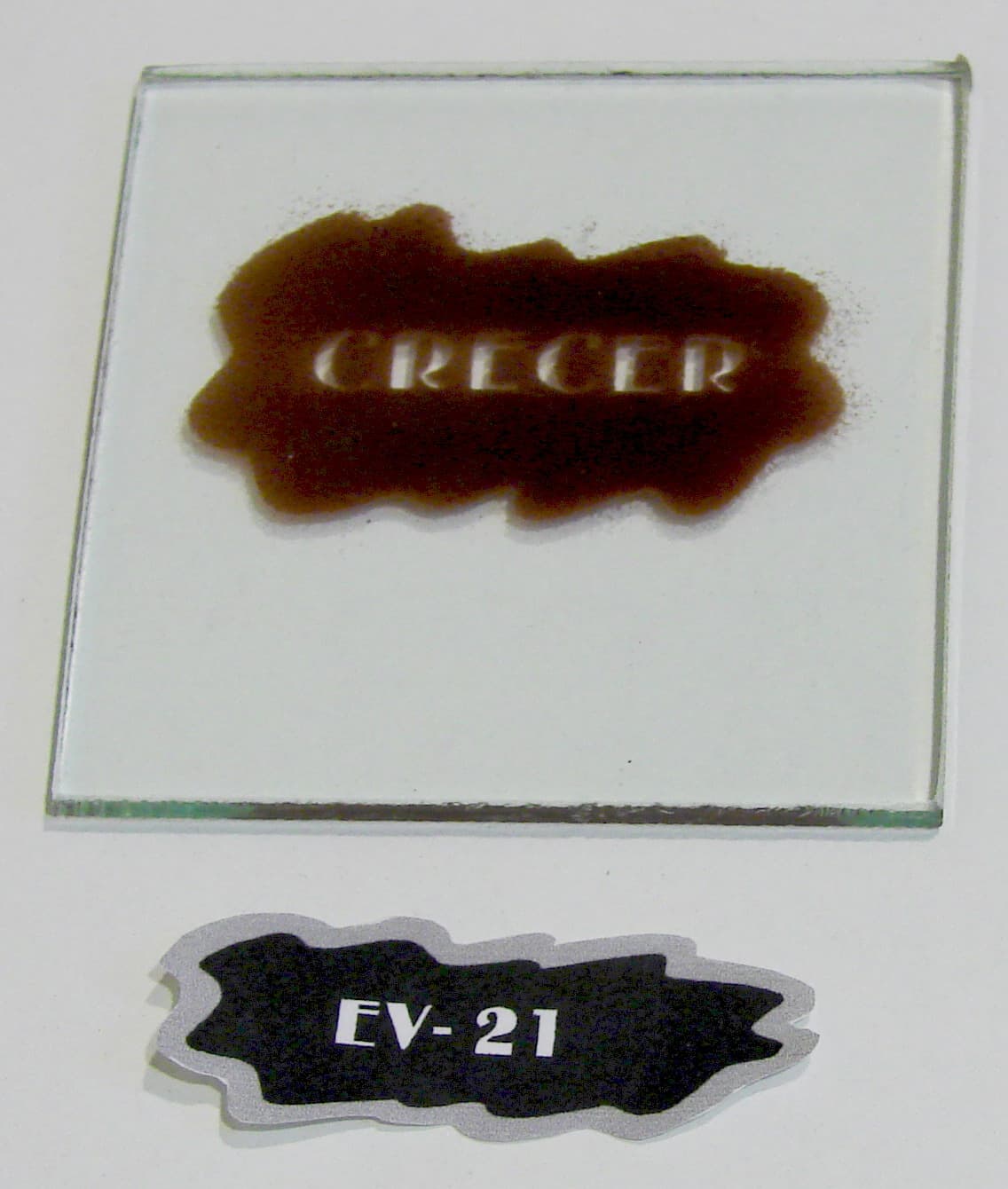 EV - 21 - Imagen 1