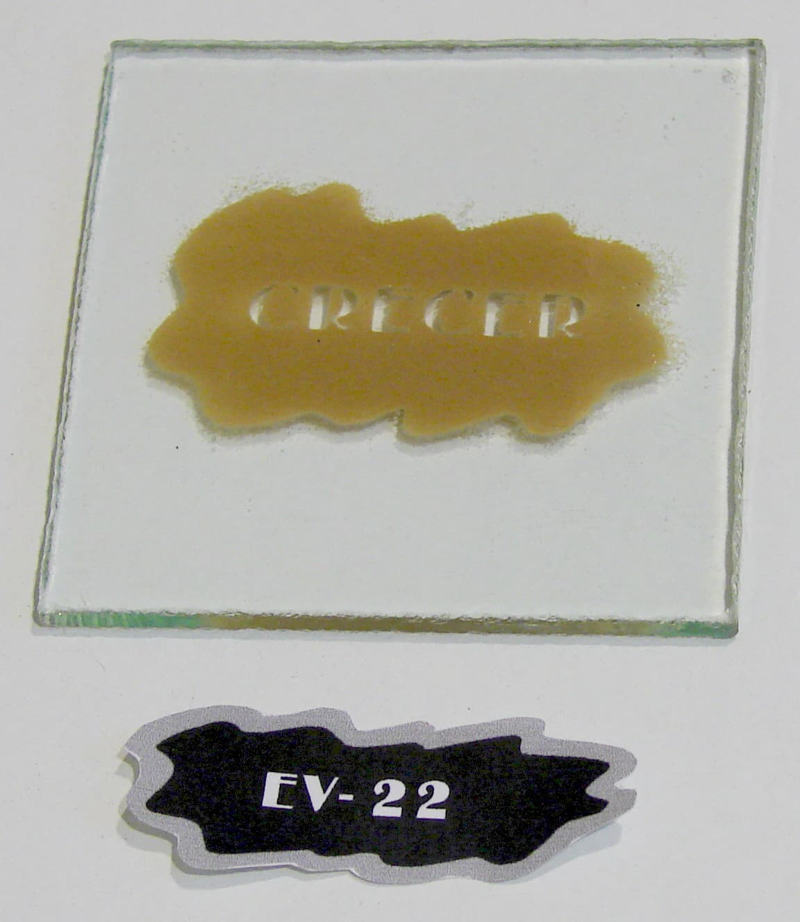 EV - 22 - Imagen 1