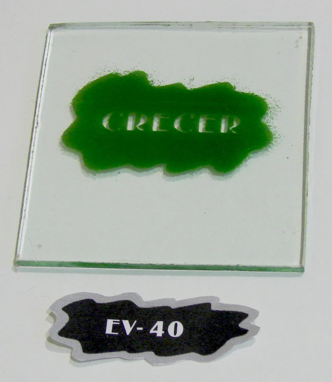 EV - 40 - Imagen 1