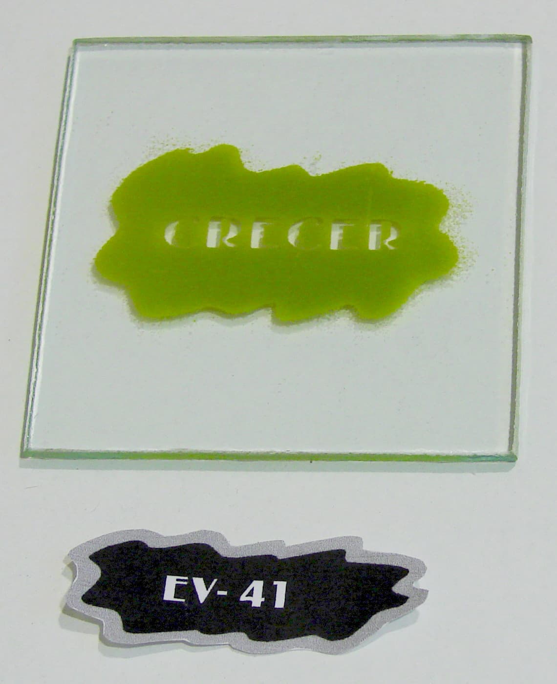 EV - 41 - Imagen 1