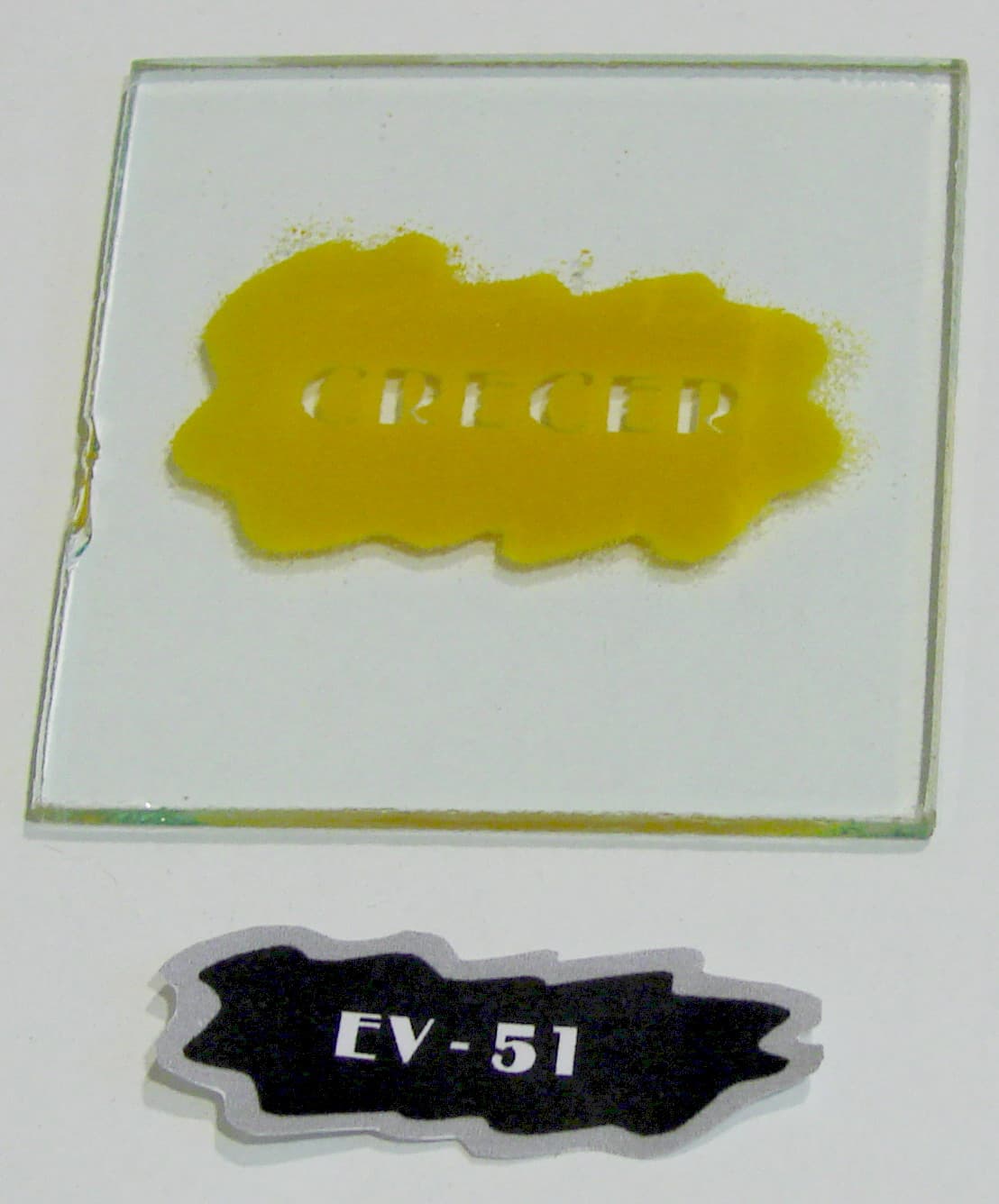 EV - 51 - Imagen 1