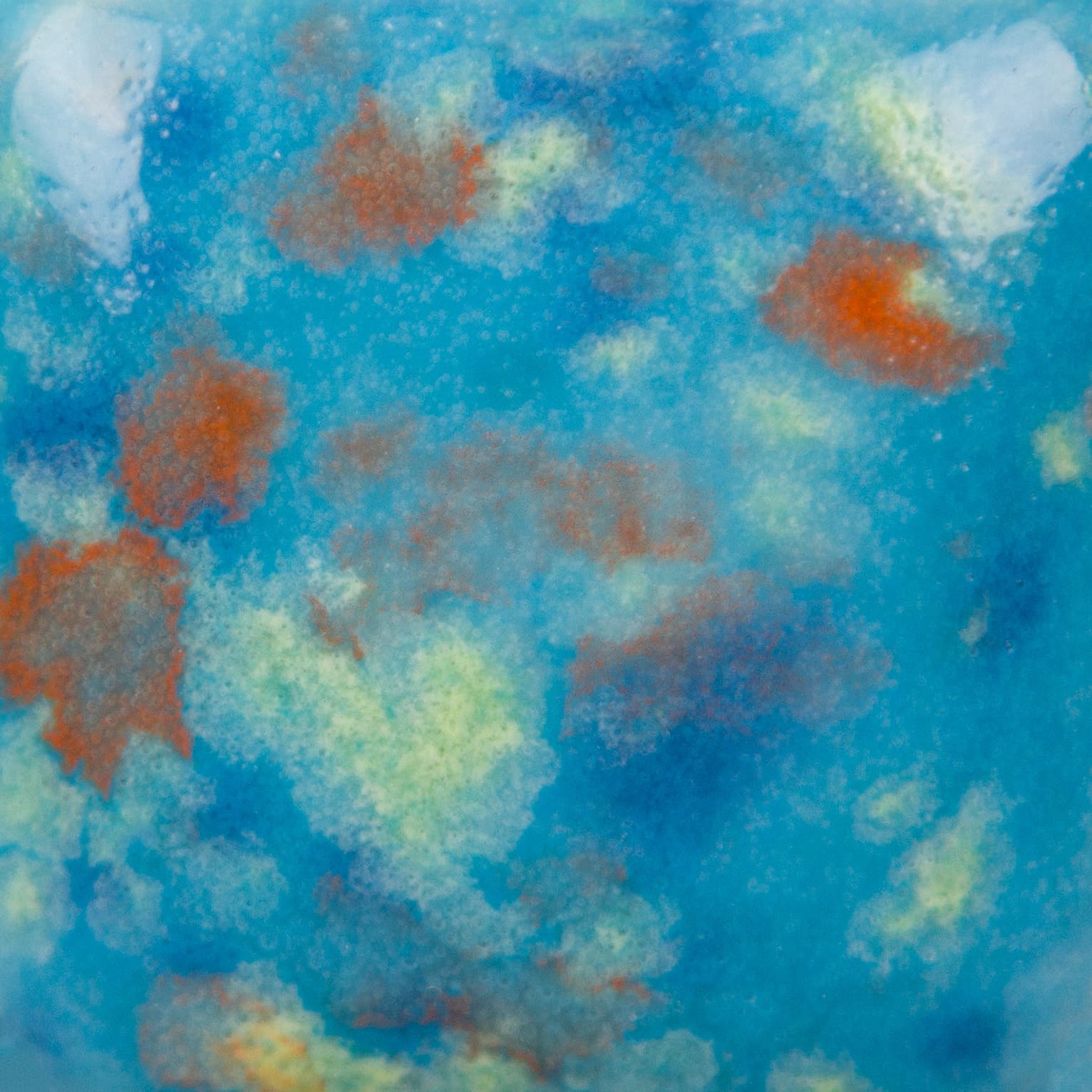 CG1007P - Blueberry Bubblegum - Pint - Imagen 3