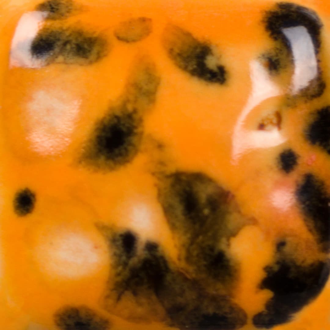 CG1013P - Papaya - Pint - Imagen 2