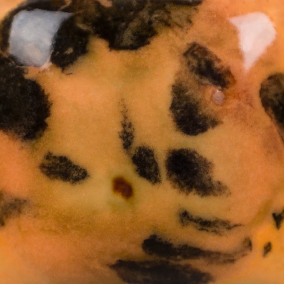 CG1013P - Papaya - Pint - Imagen 3