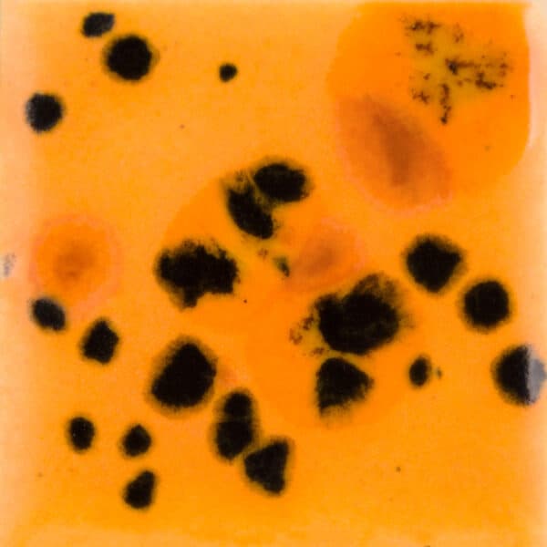 CG1013P - Papaya - Pint - Imagen 1