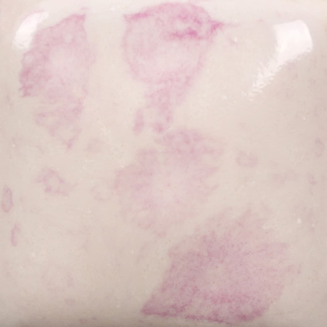 CG1014P - Pink Plum - Pint - Imagen 2