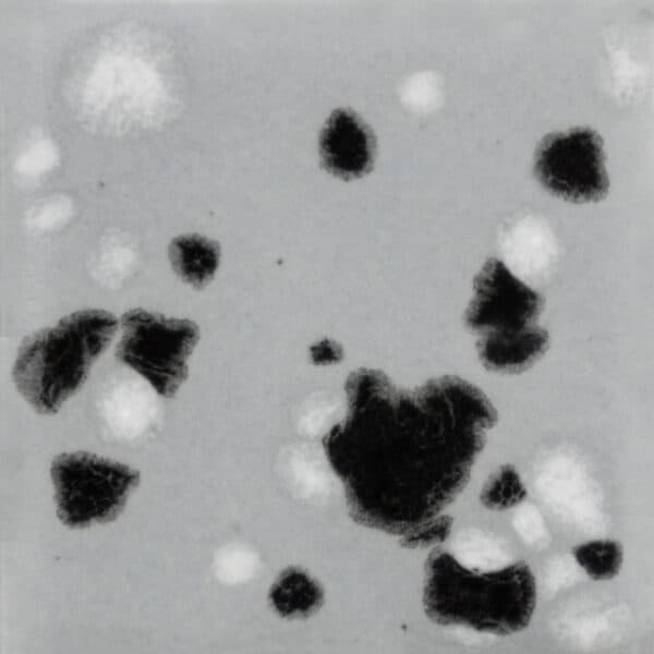 CG10164 - Asteroid - 4 oz - Imagen 1