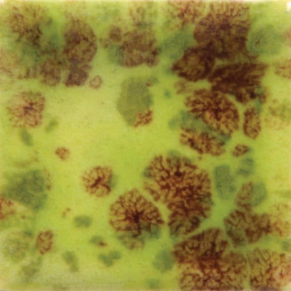 CG717P - Pistachio - Pint - Imagen 1