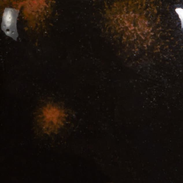CG779P - Black Opal - Pint - Imagen 2