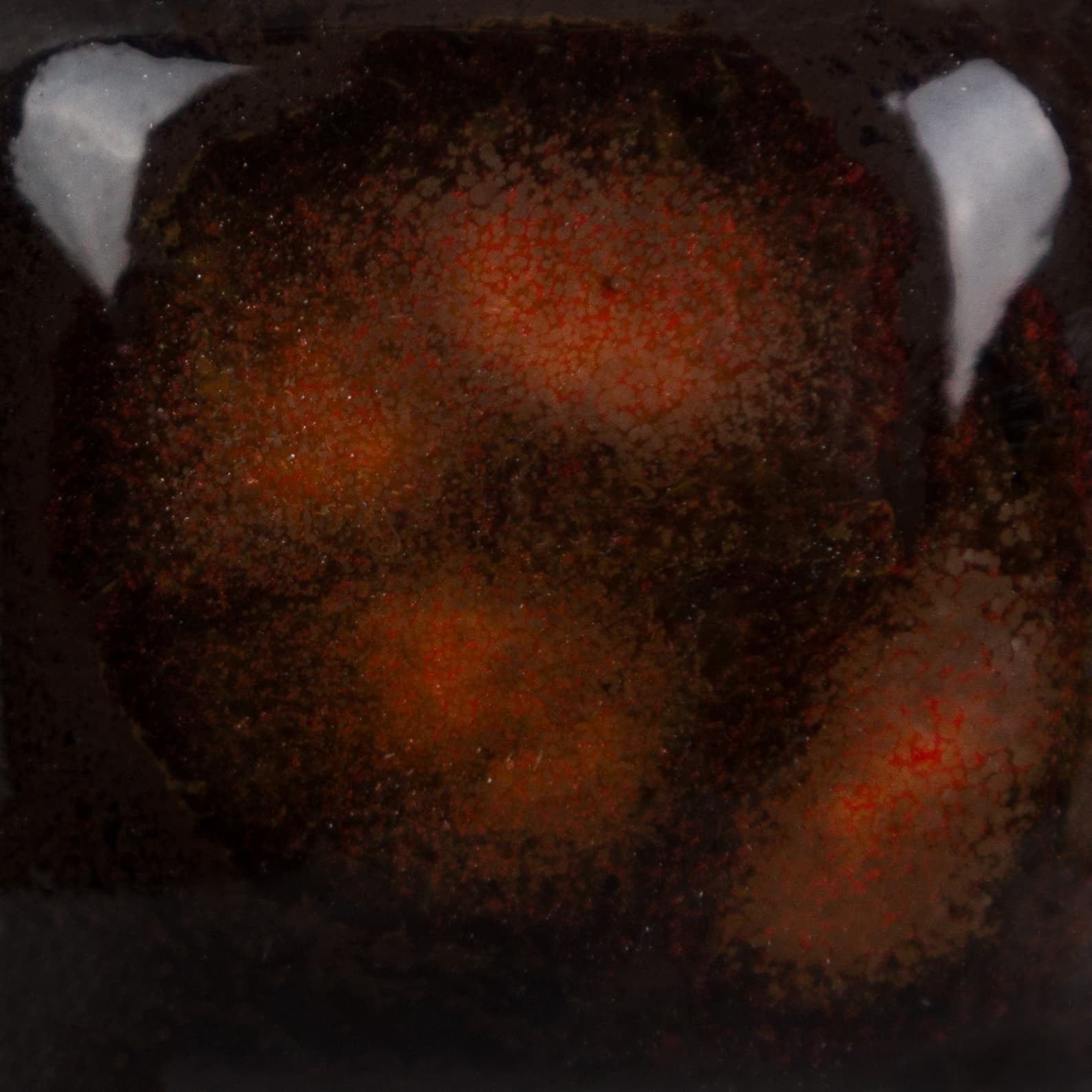 CG779P - Black Opal - Pint - Imagen 3