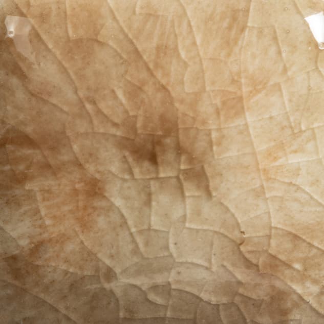 CG795P - Yadro Print - Pint - Imagen 2