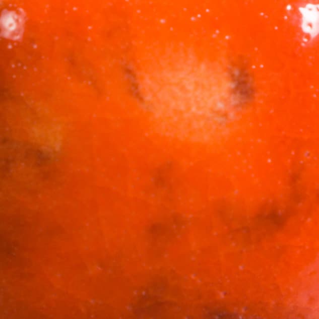 CG954P - Wildfire - Pint - Imagen 2