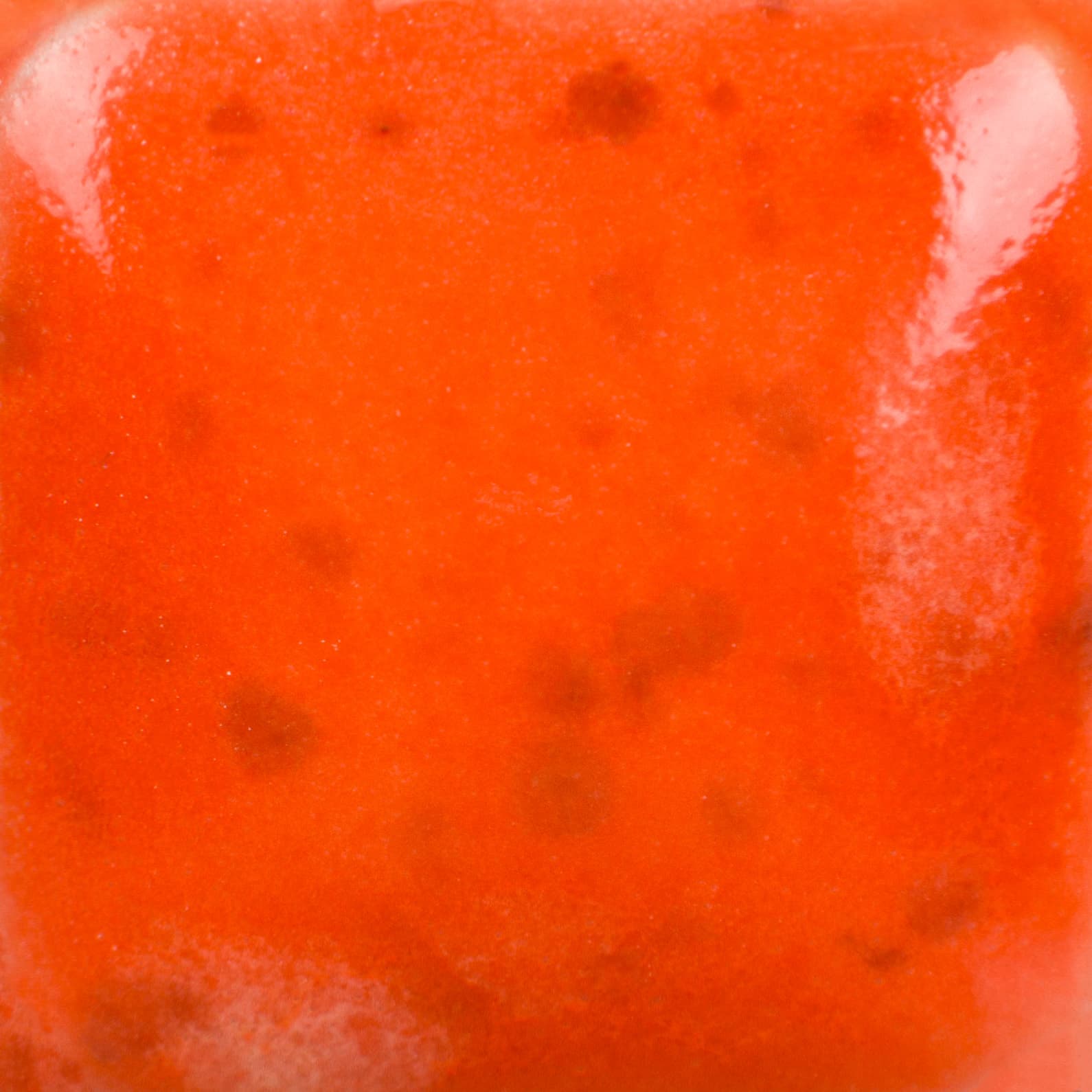 CG954P - Wildfire - Pint - Imagen 3