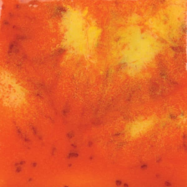 CG954P - Wildfire - Pint - Imagen 1