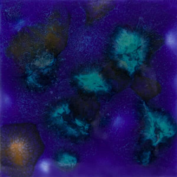 CG958P - Lagoon Blue - Pint - Imagen 1