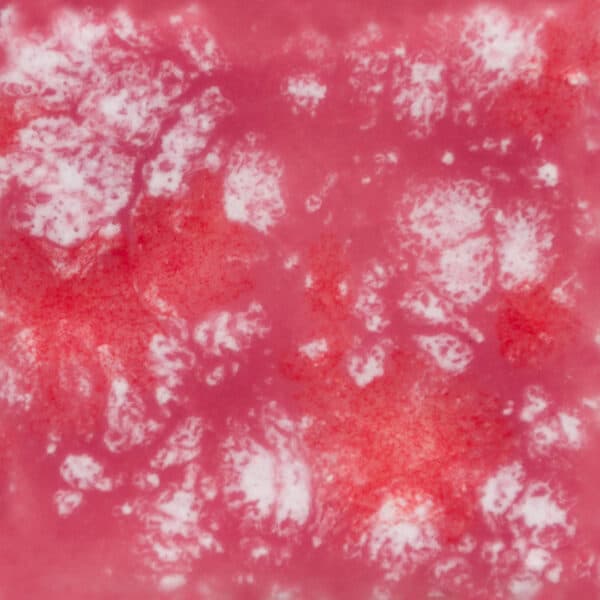 CG968P - Peppermint Twist - Pint - Imagen 1
