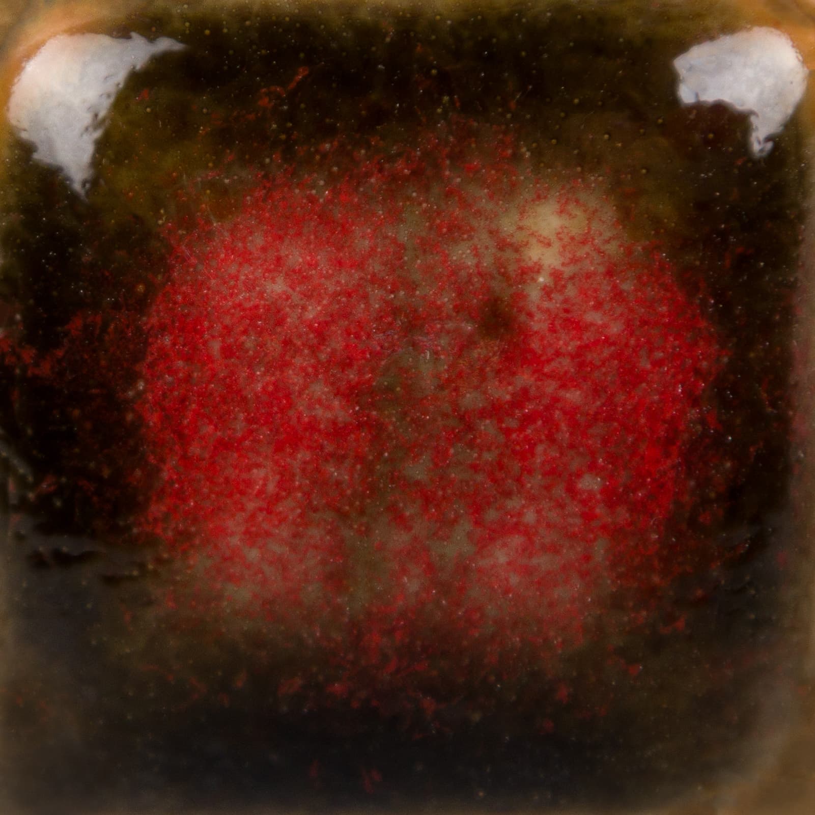 CG972P - Dragon’s Breath - Pint - Imagen 3