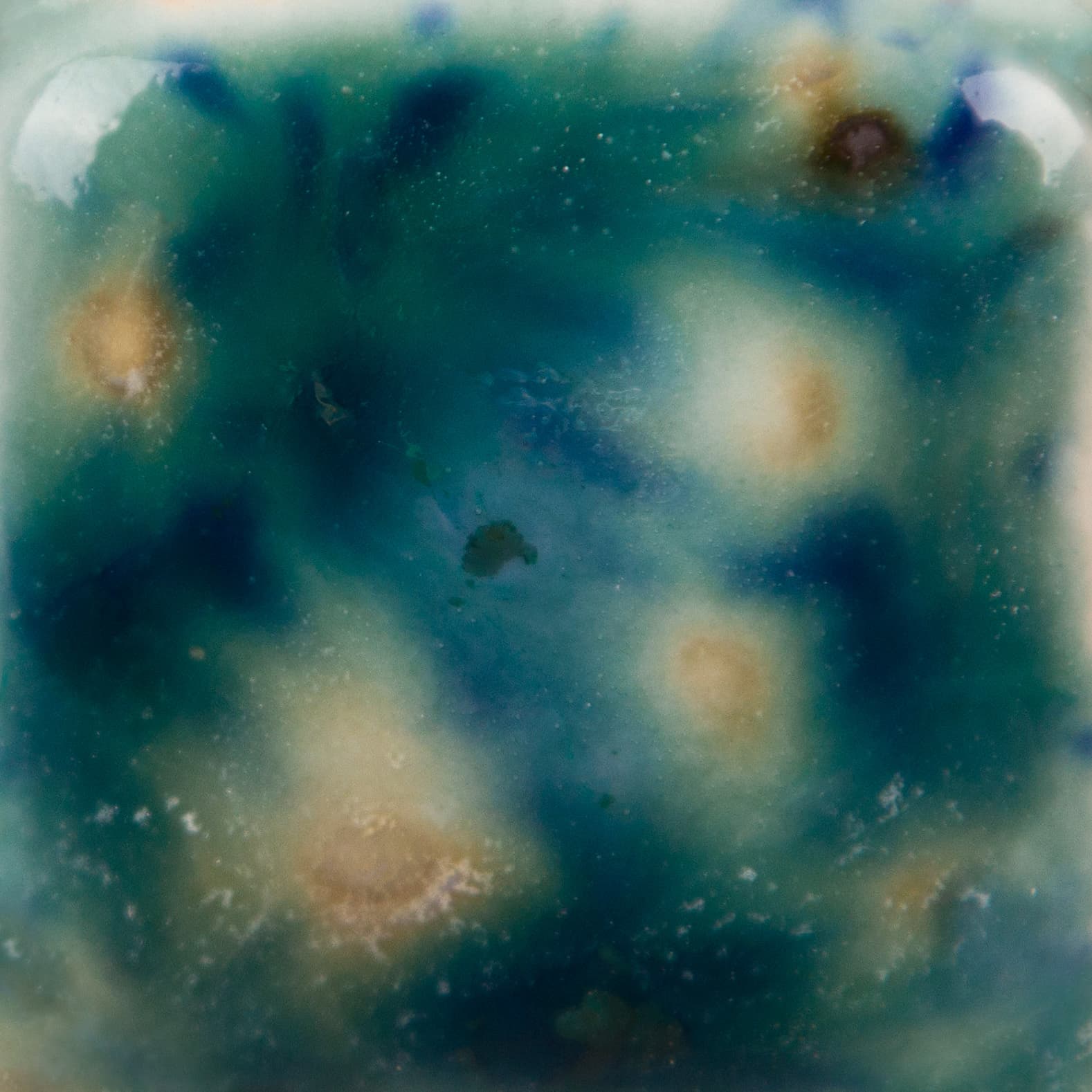 CG974P - Bloomin’ Blue - Pint - Imagen 3