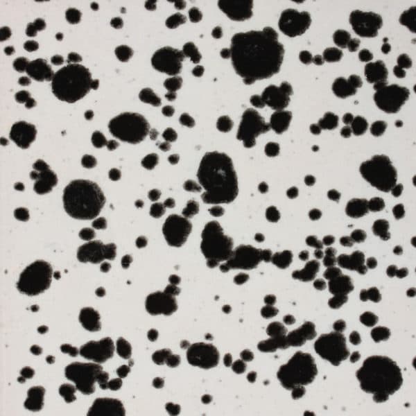 CG977P - Ink Spots - Pint - Imagen 1