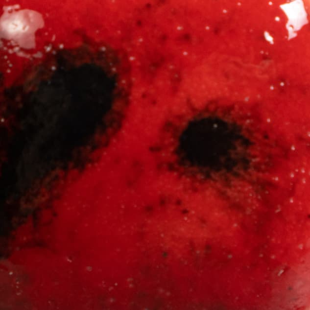 CG9844 - Ladybug - 4 oz - Imagen 2