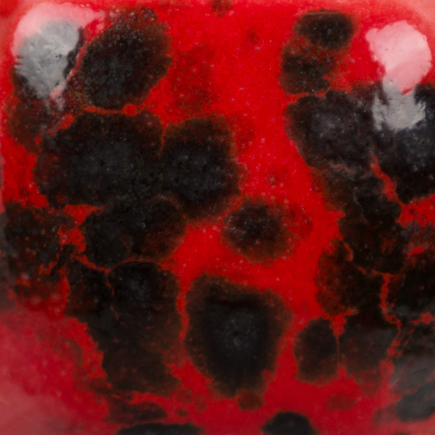 CG9844 - Ladybug - 4 oz - Imagen 3