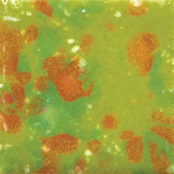 CG9874 - Tree Frog - 4 oz - Imagen 1
