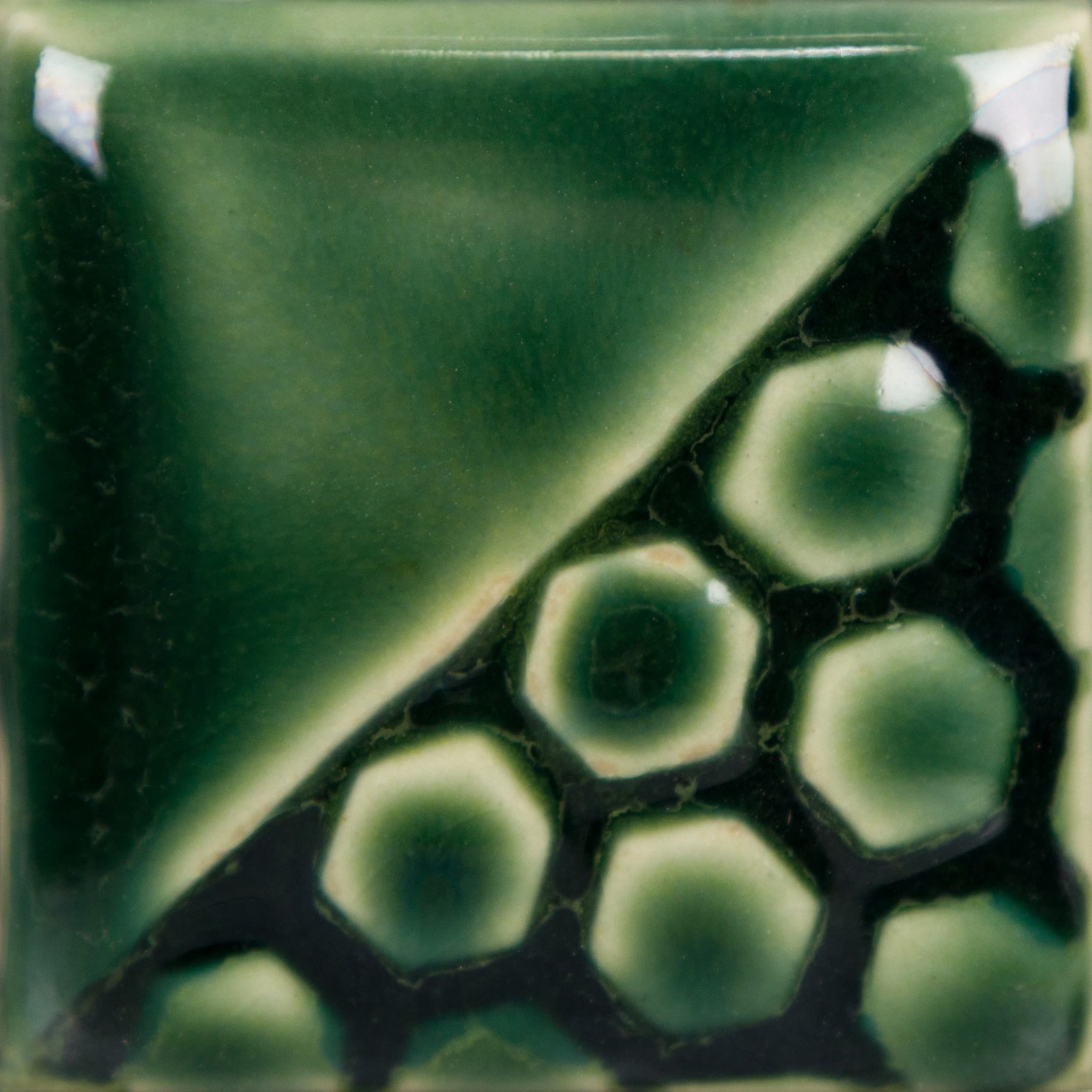 EL155P - Holiday Green - Pint - Imagen 2
