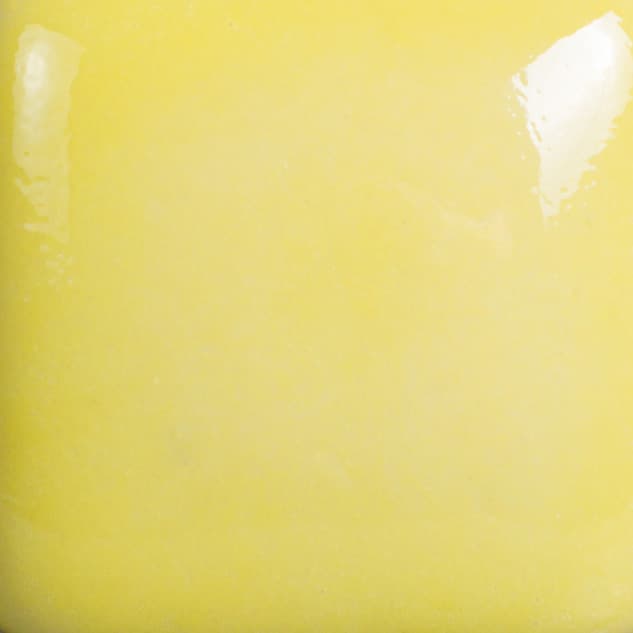 FN0024 - Yellow - 4 oz - Imagen 2