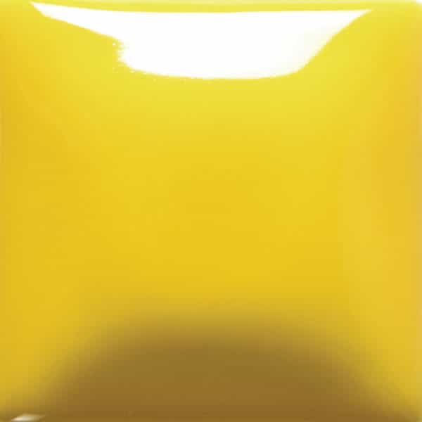 FN0024 - Yellow - 4 oz