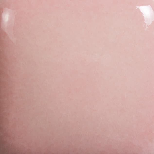 FN0054 - Pink - 4 oz - Imagen 2