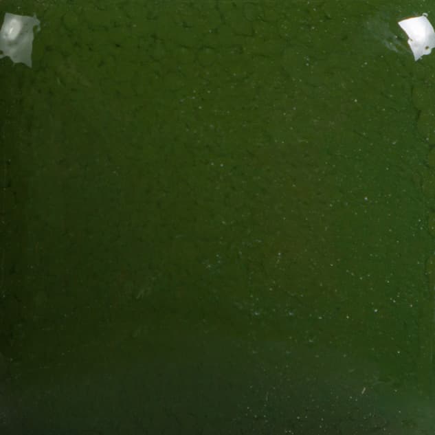 FN010P - Tree Green - Pint - Imagen 2