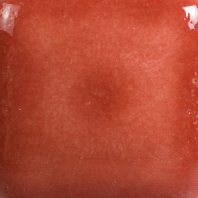 FN015P - Brick Red - Pint - Imagen 2