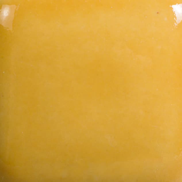FN016P - Harvest Orange - Pint - Imagen 2