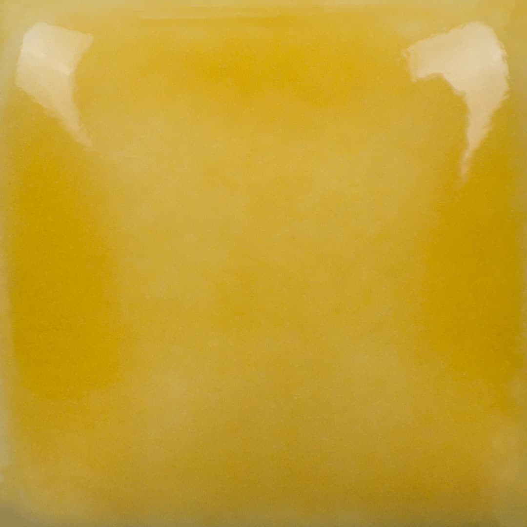 FN016P - Harvest Orange - Pint - Imagen 3