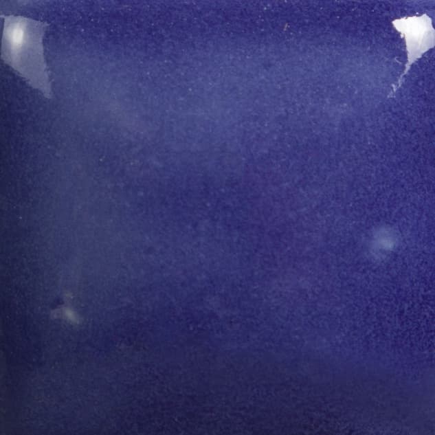 FN017P - Purple - Pint - Imagen 2