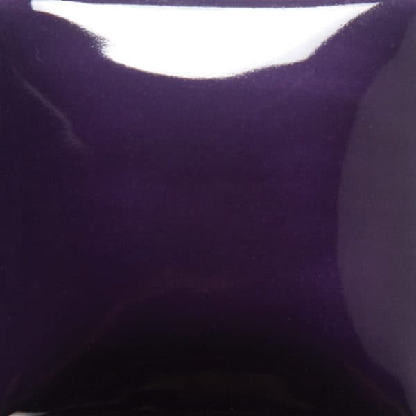 FN017P - Purple - Pint - Imagen 1