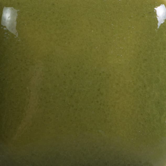FN021P - Olive Green - Pint - Imagen 2