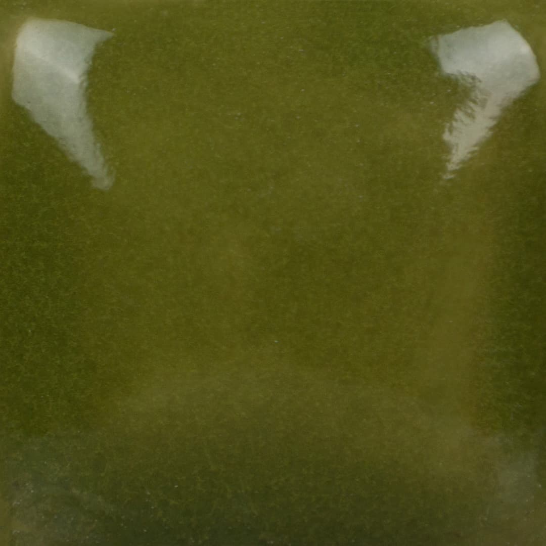FN021P - Olive Green - Pint - Imagen 3