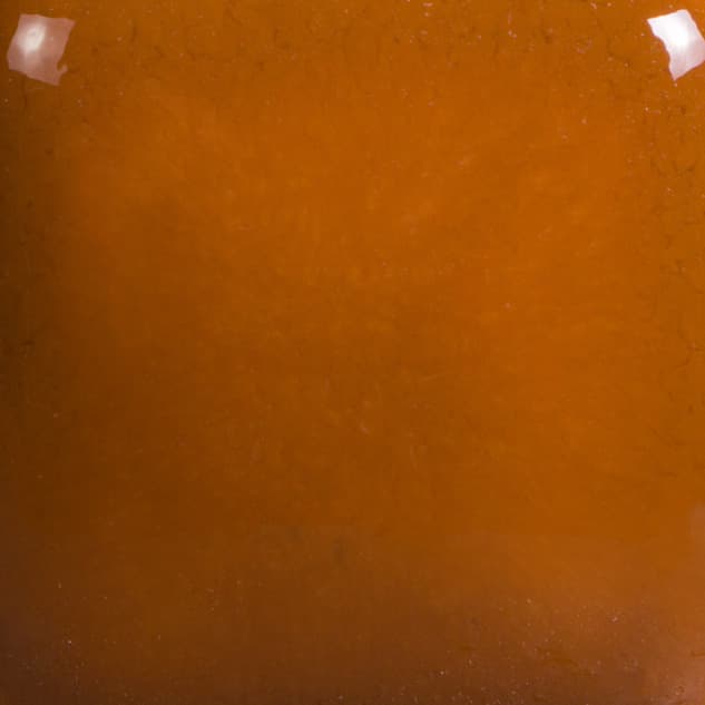 FN023P - Cinnamon - Pint - Imagen 2