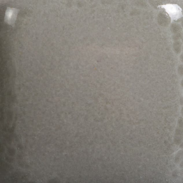 FN024P - Gray - Pint - Imagen 2