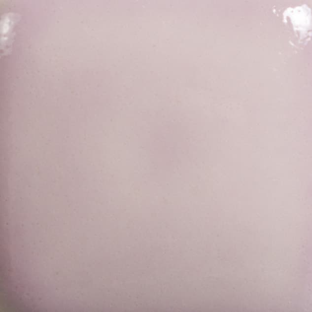 FN025P - Raspberry Whip - Pint - Imagen 2