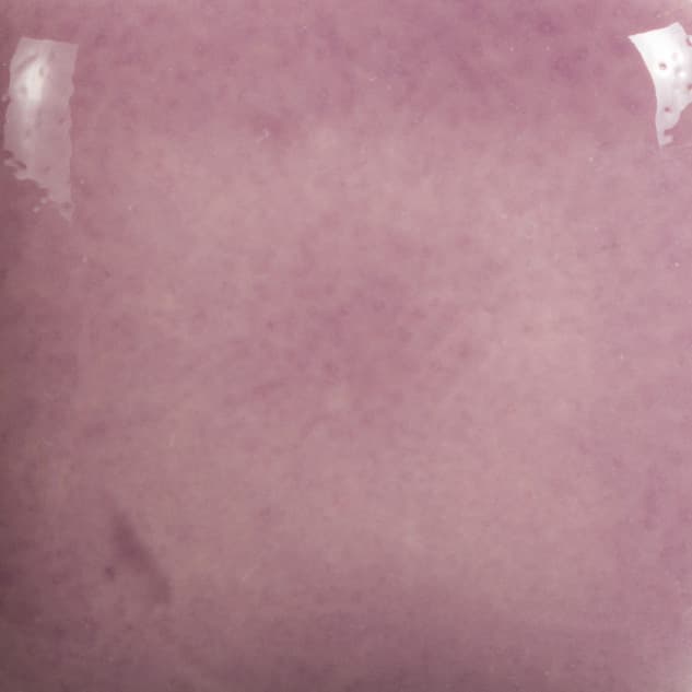 FN036P - Grape - Pint - Imagen 2