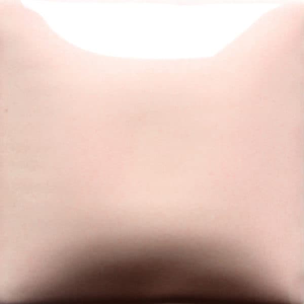 FN047P - Light Pink - Pint - Imagen 1