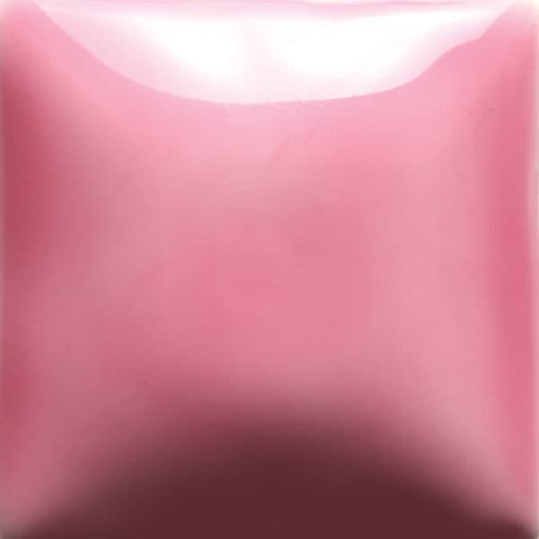 FN048P - Bright Pink - Pint - Imagen 1
