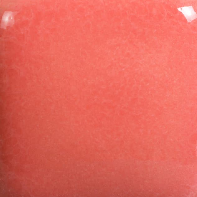 FN049P - Flamingo - Pint - Imagen 2