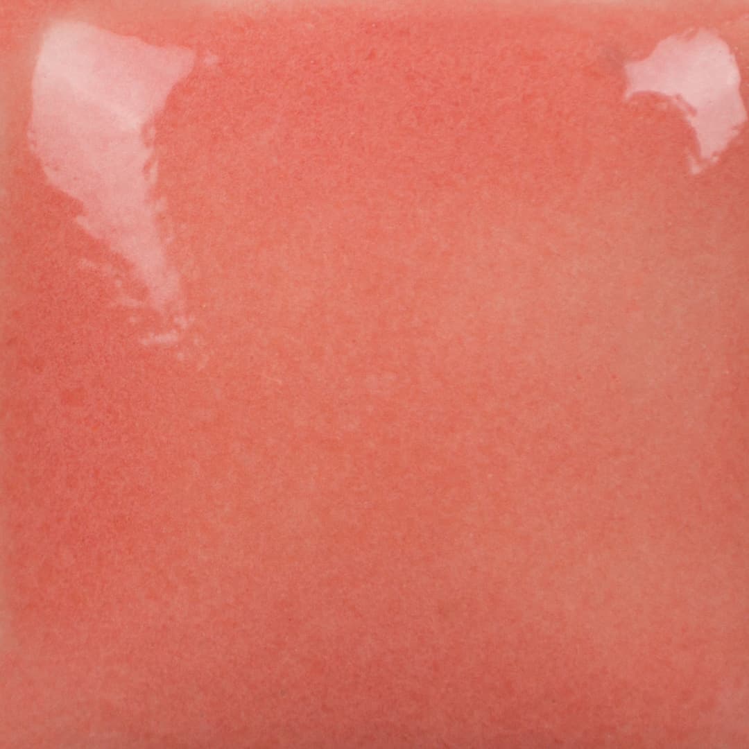 FN049P - Flamingo - Pint - Imagen 3