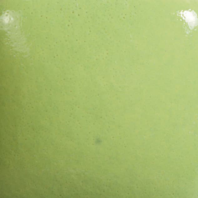 FN054P - Pistachio - Pint - Imagen 2