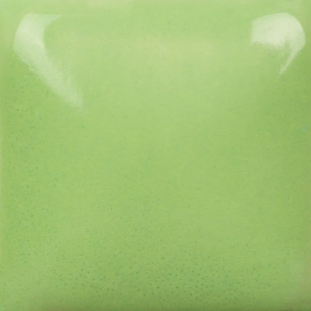FN054P - Pistachio - Pint - Imagen 3
