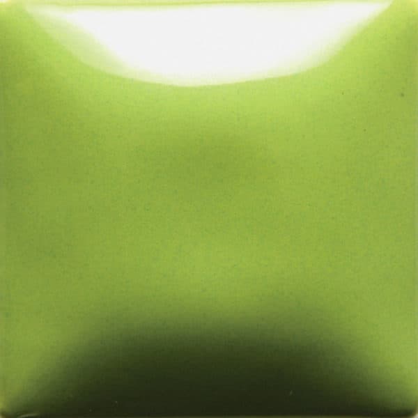 FN054P - Pistachio - Pint - Imagen 1